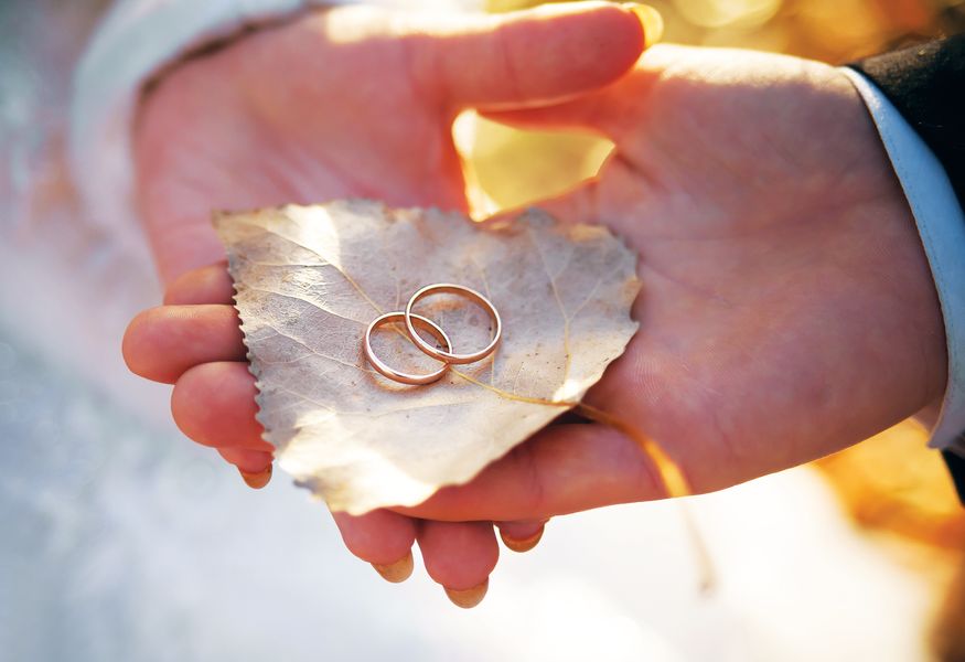 Bride and groom are holding leaf with rings