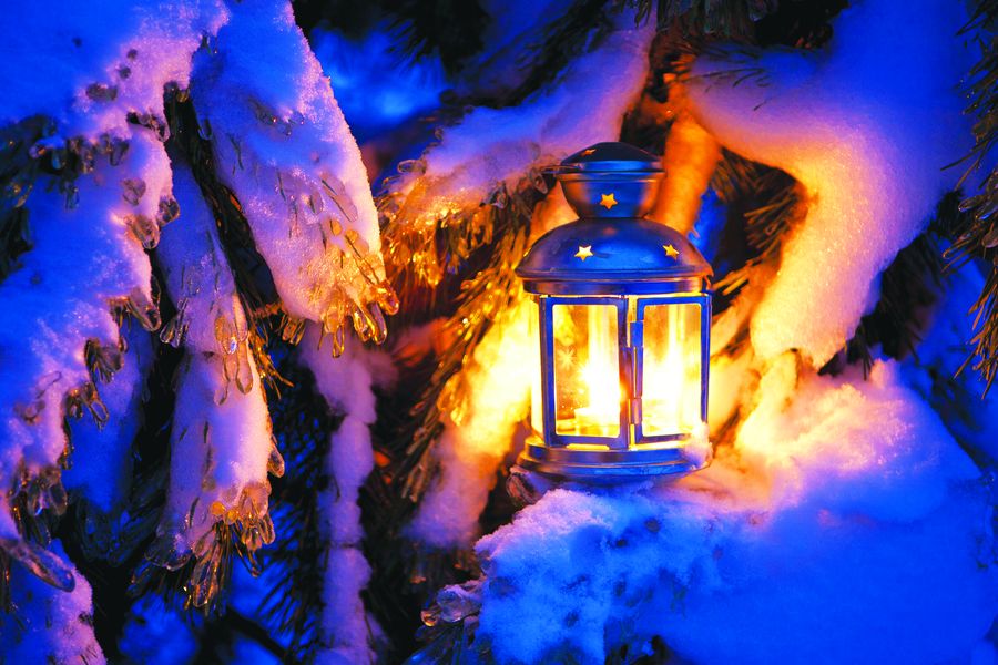 Christmas scene - an oil filled lantern burning bright with snow covered tree