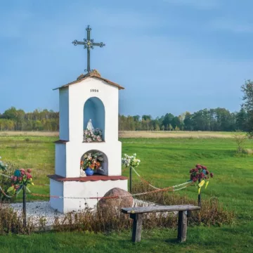 Maj miesiącem Niepokalanej