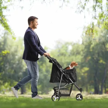 Rodzina czy samotność? Kryzys demograficznyw Polsce i jak go zatrzymać