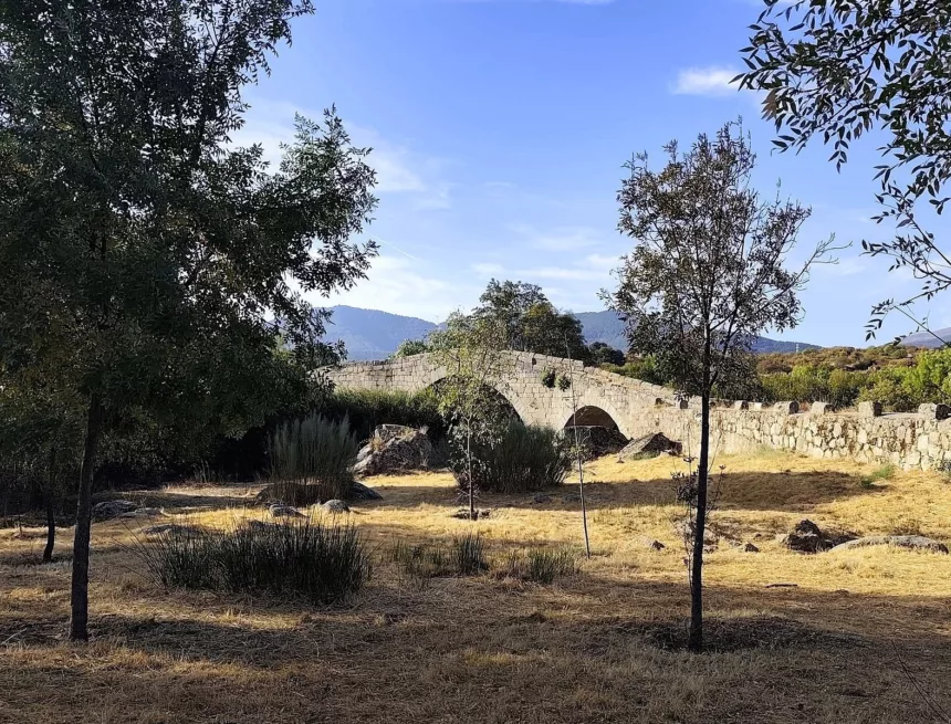 Camino Levante dzień 20